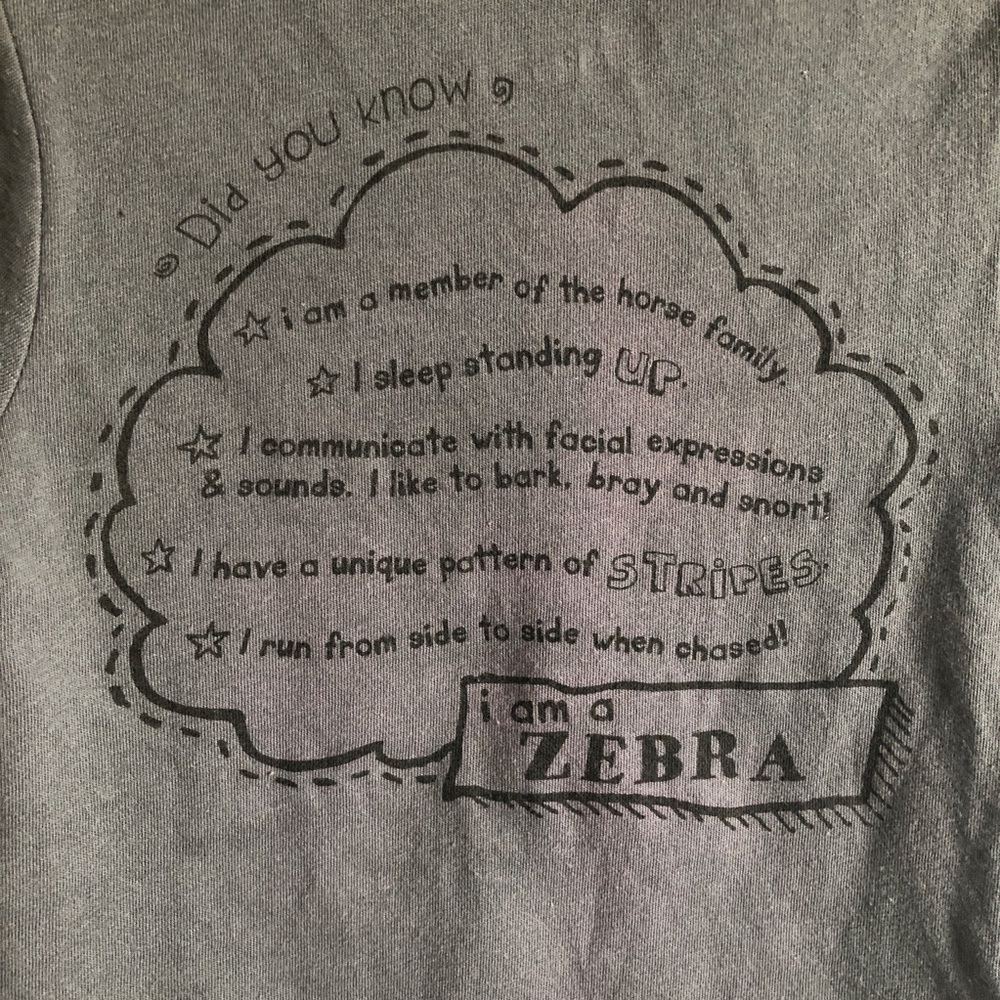 NWOT toddler tee - Picture 5 of 5